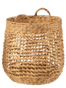 Mand waterhyacinth large