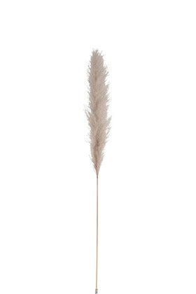 Pampas