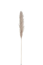 Afbeelding in Gallery-weergave laden, Pampas
