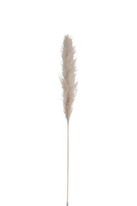 Pampas